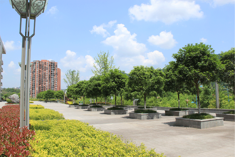 文理學(xué)院.gif