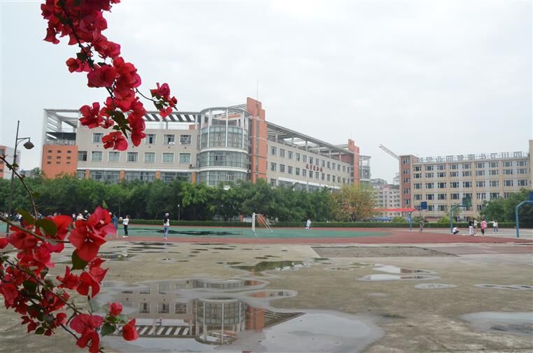 四川衛生康復職業學院4.jpg