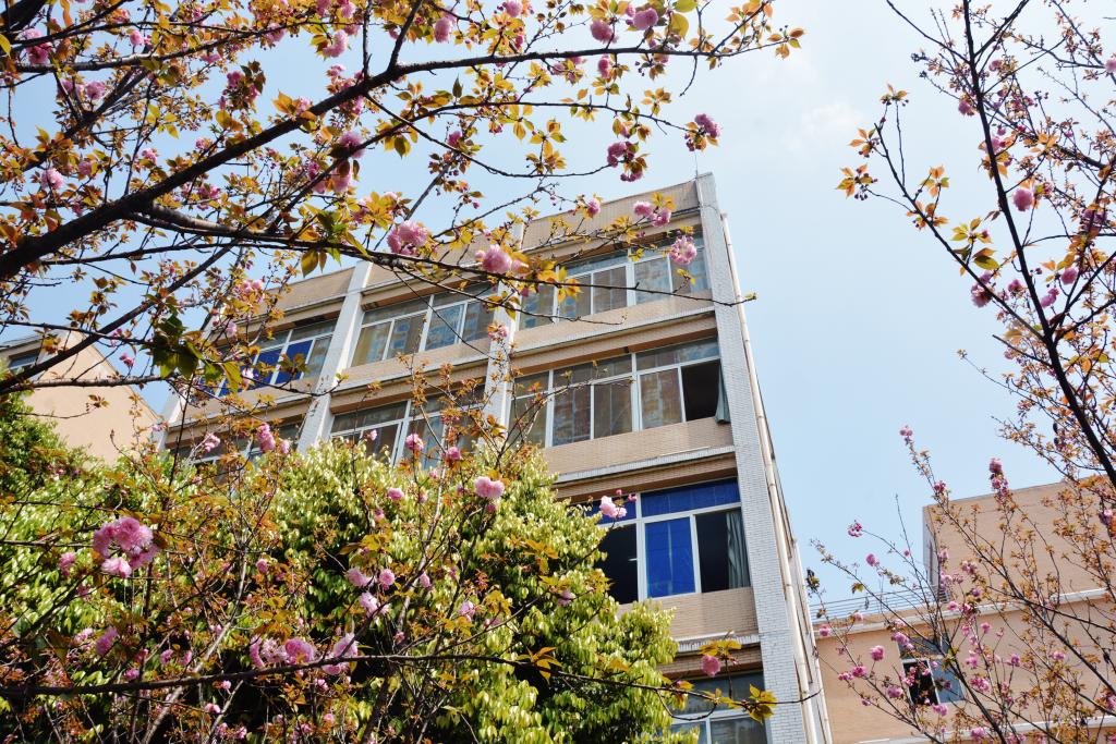 宜賓職業(yè)技術學院1.jpg