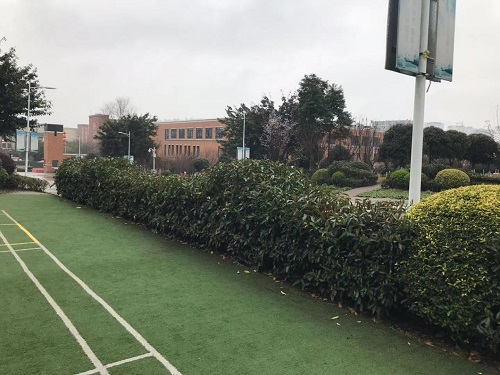 1559550412242484.jpg 微信圖片_20190306104148.jpg