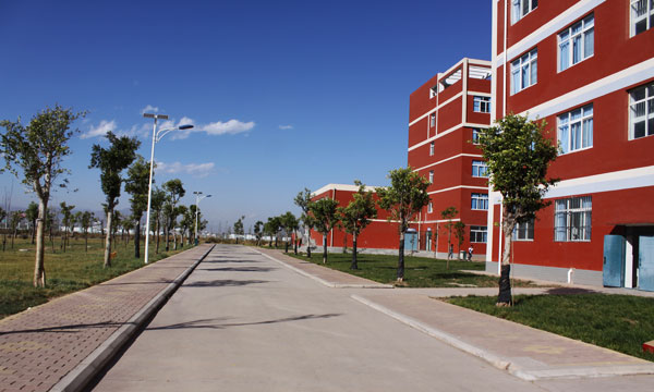1565491187121560.jpg 06.jpg