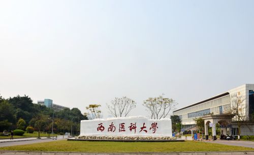 西南醫科大學